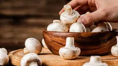 Så håller sig svampen färsk i en vecka: bonden avslöjar tricket